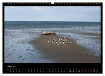 Texel, eine Perle Hollands (hochwertiger Premium Wandkalender 2027 DIN A2 quer), Kunstdruck in Hochglanz
