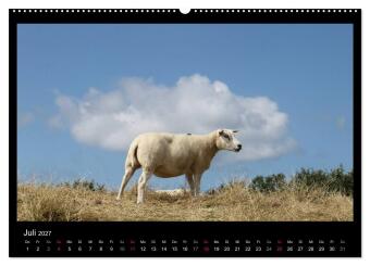 Texel, eine Perle Hollands (hochwertiger Premium Wandkalender 2027 DIN A2 quer), Kunstdruck in Hochglanz