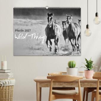 Pferde 2027 Wild Thing (Wandkalender 2027 DIN A2 quer), CALVENDO Monatskalender