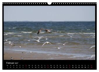 Texel, eine Perle Hollands (Wandkalender 2027 DIN A3 quer), CALVENDO Monatskalender