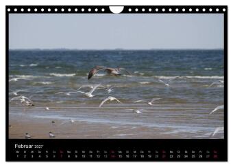 Texel, eine Perle Hollands (Wandkalender 2027 DIN A4 quer), CALVENDO Monatskalender