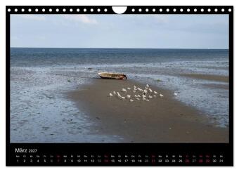Texel, eine Perle Hollands (Wandkalender 2027 DIN A4 quer), CALVENDO Monatskalender