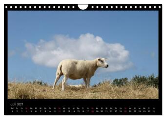 Texel, eine Perle Hollands (Wandkalender 2027 DIN A4 quer), CALVENDO Monatskalender