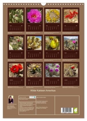Wilde Kakteen Amerikas (Wandkalender 2027 DIN A3 hoch), CALVENDO Monatskalender