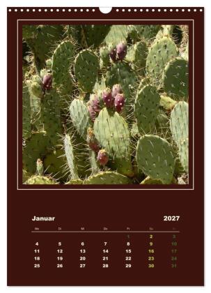 Wilde Kakteen Amerikas (Wandkalender 2027 DIN A3 hoch), CALVENDO Monatskalender