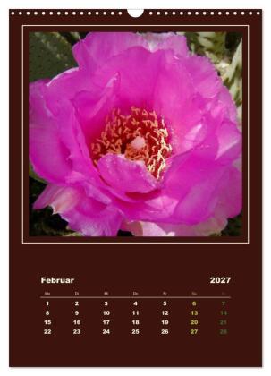 Wilde Kakteen Amerikas (Wandkalender 2027 DIN A3 hoch), CALVENDO Monatskalender