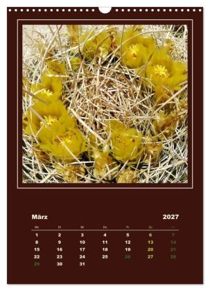 Wilde Kakteen Amerikas (Wandkalender 2027 DIN A3 hoch), CALVENDO Monatskalender