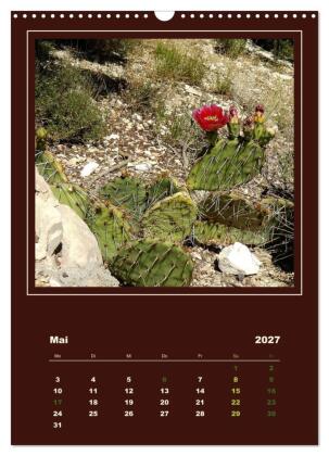Wilde Kakteen Amerikas (Wandkalender 2027 DIN A3 hoch), CALVENDO Monatskalender