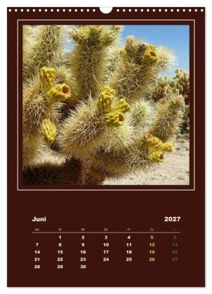 Wilde Kakteen Amerikas (Wandkalender 2027 DIN A3 hoch), CALVENDO Monatskalender