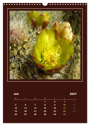 Wilde Kakteen Amerikas (Wandkalender 2027 DIN A3 hoch), CALVENDO Monatskalender