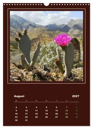 Wilde Kakteen Amerikas (Wandkalender 2027 DIN A3 hoch), CALVENDO Monatskalender