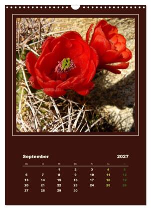 Wilde Kakteen Amerikas (Wandkalender 2027 DIN A3 hoch), CALVENDO Monatskalender