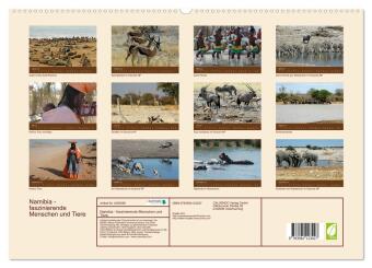 Namibia - faszinierende Menschen und Tiere (hochwertiger Premium Wandkalender 2027 DIN A2 quer), Kunstdruck in Hochglanz