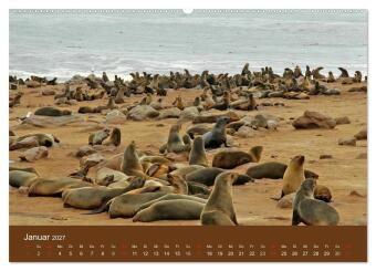 Namibia - faszinierende Menschen und Tiere (hochwertiger Premium Wandkalender 2027 DIN A2 quer), Kunstdruck in Hochglanz
