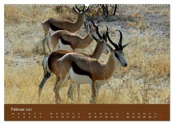 Namibia - faszinierende Menschen und Tiere (hochwertiger Premium Wandkalender 2027 DIN A2 quer), Kunstdruck in Hochglanz