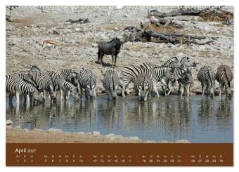 Namibia - faszinierende Menschen und Tiere (hochwertiger Premium Wandkalender 2027 DIN A2 quer), Kunstdruck in Hochglanz
