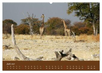 Namibia - faszinierende Menschen und Tiere (hochwertiger Premium Wandkalender 2027 DIN A2 quer), Kunstdruck in Hochglanz