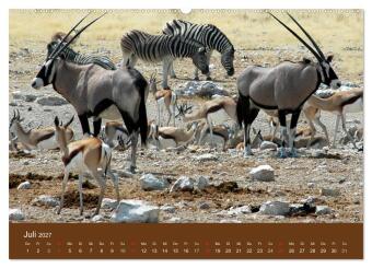 Namibia - faszinierende Menschen und Tiere (hochwertiger Premium Wandkalender 2027 DIN A2 quer), Kunstdruck in Hochglanz