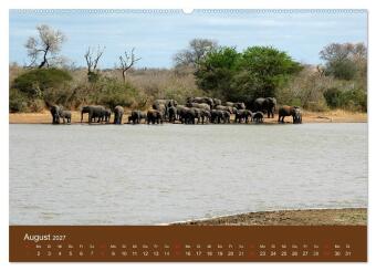 Namibia - faszinierende Menschen und Tiere (hochwertiger Premium Wandkalender 2027 DIN A2 quer), Kunstdruck in Hochglanz