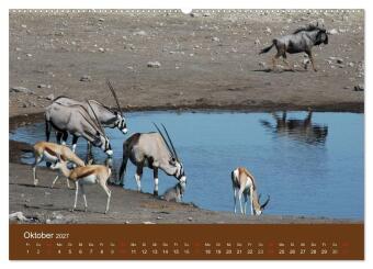 Namibia - faszinierende Menschen und Tiere (hochwertiger Premium Wandkalender 2027 DIN A2 quer), Kunstdruck in Hochglanz