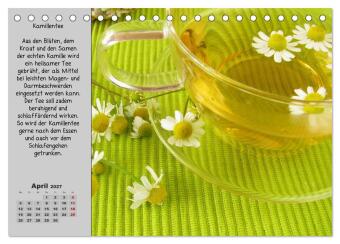 Eine kleine Teekunde - Zwölf Teesorten im Porträt (Tischkalender 2027 DIN A5 quer), CALVENDO Monatskalender