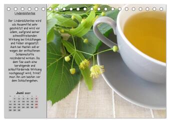 Eine kleine Teekunde - Zwölf Teesorten im Porträt (Tischkalender 2027 DIN A5 quer), CALVENDO Monatskalender