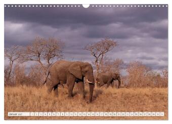 Südafrika / Landschaften & Tiere / Christian Heeb (Wandkalender 2027 DIN A3 quer), CALVENDO Monatskalender
