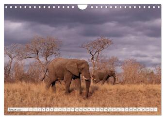 Südafrika / Landschaften & Tiere / Christian Heeb (Wandkalender 2027 DIN A4 quer), CALVENDO Monatskalender