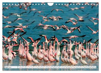 Südafrika / Landschaften & Tiere / Christian Heeb (Wandkalender 2027 DIN A4 quer), CALVENDO Monatskalender