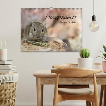 Mausebande (Wandkalender 2027 DIN A3 quer), CALVENDO Monatskalender