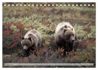 Wildes Alaska Christian Heeb (Tischkalender 2027 DIN A5 quer), CALVENDO Monatskalender