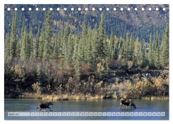 Wildes Alaska Christian Heeb (Tischkalender 2027 DIN A5 quer), CALVENDO Monatskalender