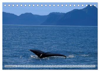 Wildes Alaska Christian Heeb (Tischkalender 2027 DIN A5 quer), CALVENDO Monatskalender