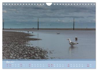 Mein St.Peter-Ording (Wandkalender 2027 DIN A4 quer), CALVENDO Monatskalender