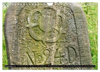 Lippische Rosen (Wandkalender 2027 DIN A4 quer), CALVENDO Monatskalender