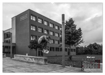 Auf dem Skateboard (Wandkalender 2027 DIN A2 quer), CALVENDO Monatskalender