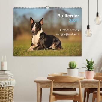 Bullterrier 2027 - Kleine Clowns mit großem Herz (Wandkalender 2027 DIN A2 quer), CALVENDO Monatskalender