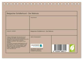 Belgischer Schäferhund - Der Malinois (Tischkalender 2027 DIN A5 quer), CALVENDO Monatskalender