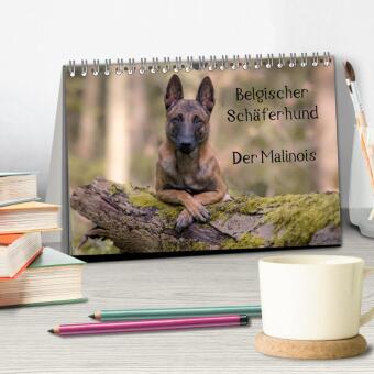 Belgischer Schäferhund - Der Malinois (Tischkalender 2027 DIN A5 quer), CALVENDO Monatskalender