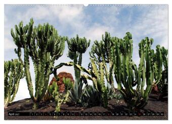 Lanzarote - Kanarische Inseln (hochwertiger Premium Wandkalender 2027 DIN A2 quer), Kunstdruck in Hochglanz