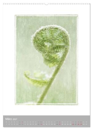 Kunstwerk Natur (hochwertiger Premium Wandkalender 2027 DIN A2 hoch), Kunstdruck in Hochglanz