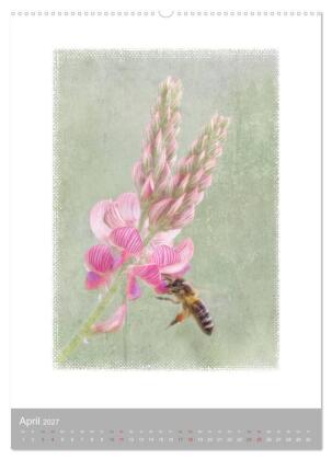 Kunstwerk Natur (hochwertiger Premium Wandkalender 2027 DIN A2 hoch), Kunstdruck in Hochglanz
