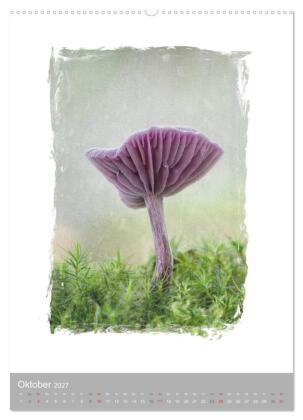 Kunstwerk Natur (hochwertiger Premium Wandkalender 2027 DIN A2 hoch), Kunstdruck in Hochglanz