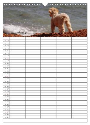 Der Pudel-Familienplaner (Wandkalender 2027 DIN A3 hoch), CALVENDO Monatskalender