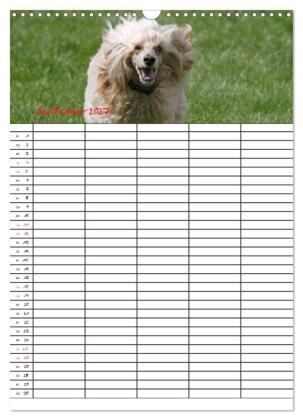 Der Pudel-Familienplaner (Wandkalender 2027 DIN A3 hoch), CALVENDO Monatskalender