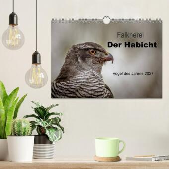Falknerei Der Habicht (Wandkalender 2027 DIN A4 quer), CALVENDO Monatskalender
