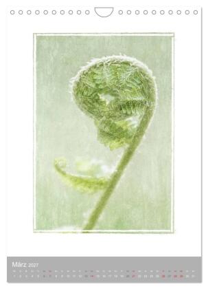 Kunstwerk Natur (Wandkalender 2027 DIN A4 hoch), CALVENDO Monatskalender