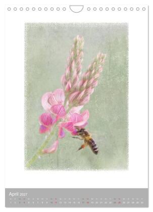 Kunstwerk Natur (Wandkalender 2027 DIN A4 hoch), CALVENDO Monatskalender