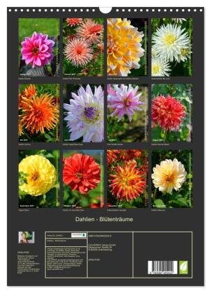 Dahlien - Blütenträume (Wandkalender 2027 DIN A3 hoch), CALVENDO Monatskalender