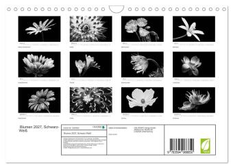 Blumen 2027, Schwarz-Weiß (Wandkalender 2027 DIN A4 quer), CALVENDO Monatskalender